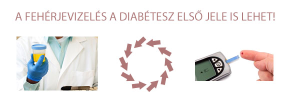 a vizeletben lévő fehérje kezelés során a diabetes cukor cukorbetegség kezelés nem a hagyományos módszerekkel